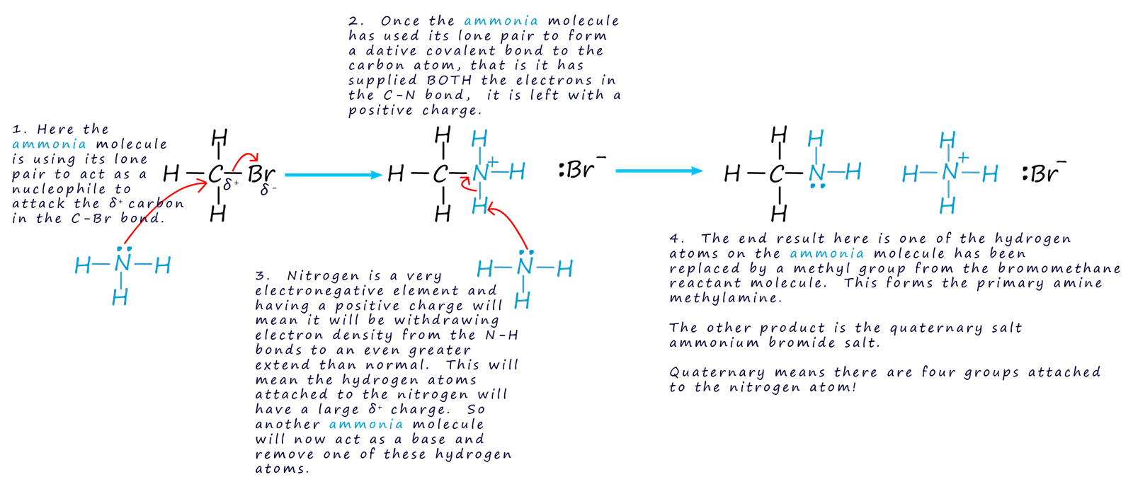 Mechanism to show how ammonia can act as a nucleophile and as a base in its reactions with halogenalkanes or alkyl halides.